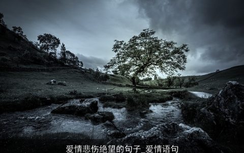 爱情悲伤绝望的句子_爱情语句