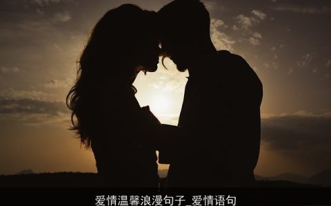 爱情温馨浪漫句子_爱情语句