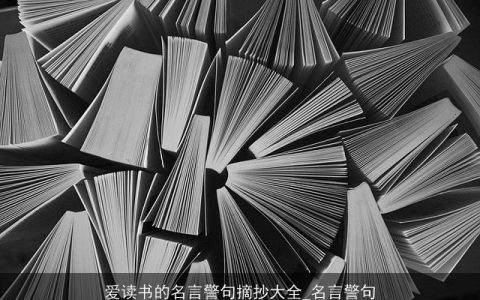 爱读书的名言警句摘抄大全_名言警句
