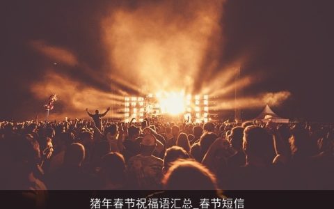 猪年春节祝福语汇总_春节短信