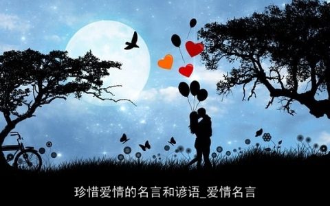 珍惜爱情的名言和谚语_爱情名言