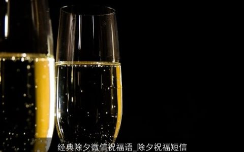 经典除夕微信祝福语_除夕祝福短信