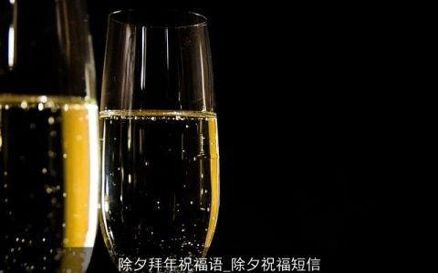 除夕拜年祝福语_除夕祝福短信