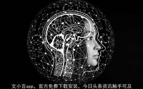 文小言app，官方免费下载安装，今日头条资讯触手可及