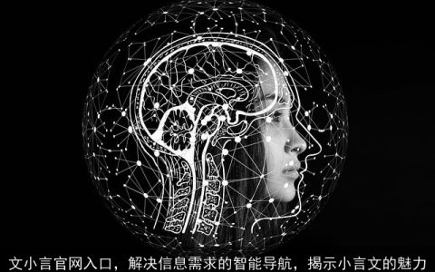 文小言官网入口，解决信息需求的智能导航，揭示小言文的魅力