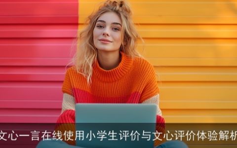 文心一言在线使用小学生评价与文心评价体验解析