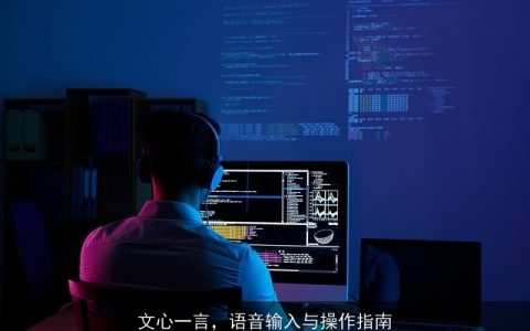 文心一言，语音输入与操作指南