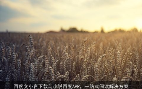 百度文小言下载与小说百度APP，一站式阅读解决方案