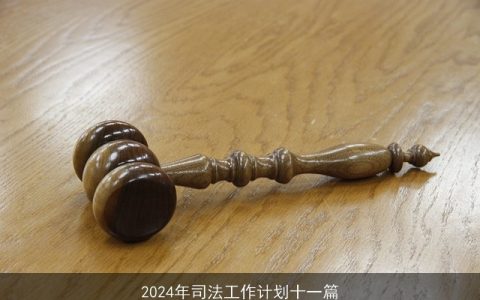 2024年司法工作计划十一篇