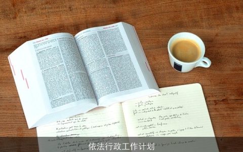 依法行政工作计划