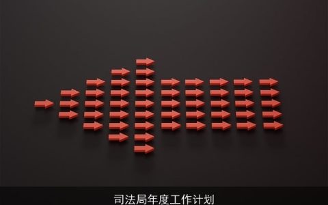 司法局年度工作计划