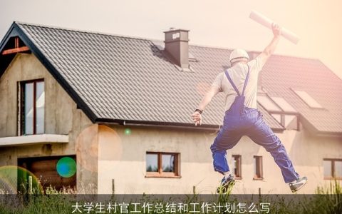 大学生村官工作总结和工作计划怎么写