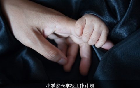 小学家长学校工作计划