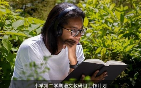 小学第二学期语文教研组工作计划