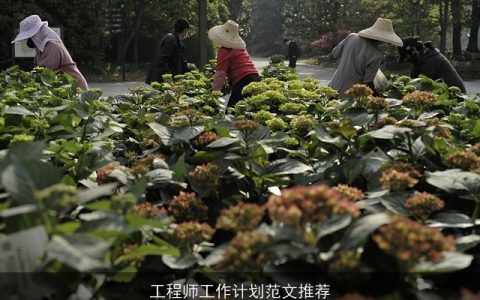 工程师工作计划范文推荐
