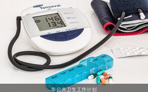 年公共卫生工作计划