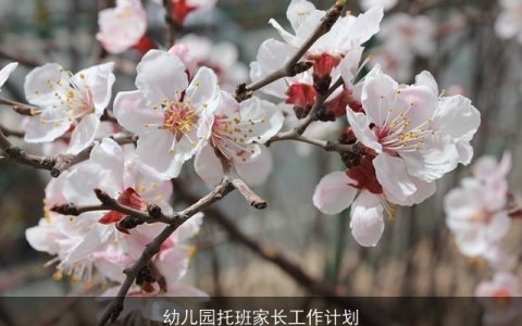 幼儿园托班家长工作计划