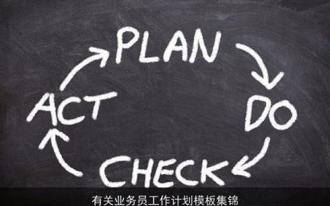 有关业务员工作计划模板集锦