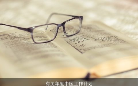 有关年度中医工作计划