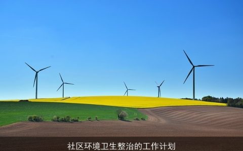 社区环境卫生整治的工作计划
