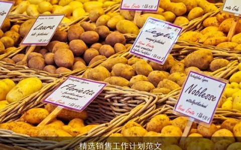 精选销售工作计划范文