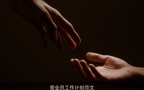 营业员工作计划范文