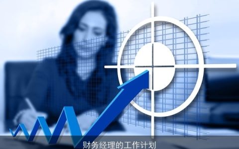 财务经理的工作计划
