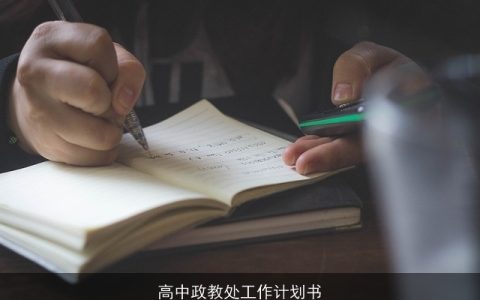 高中政教处工作计划书