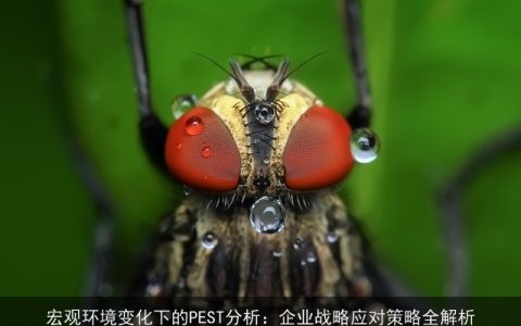 宏观环境变化下的PEST分析：企业战略应对策略全解析