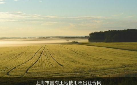 上海市国有土地使用权出让合同