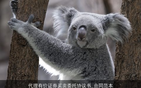 代理有价证券买卖委托协议书_合同范本