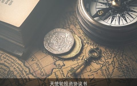 天使轮投资协议书