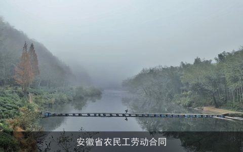 安徽省农民工劳动合同
