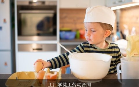 工厂学徒工劳动合同