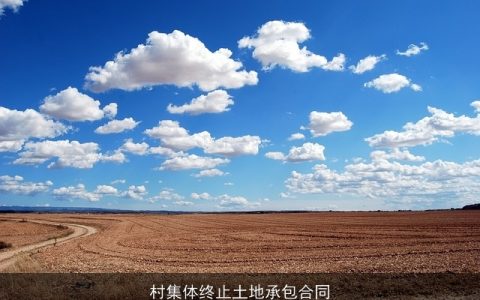 村集体终止土地承包合同