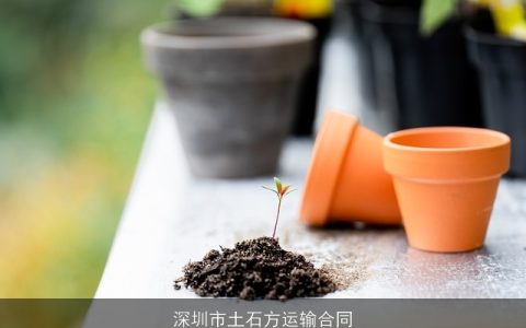 深圳市土石方运输合同
