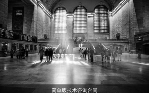 简单版技术咨询合同