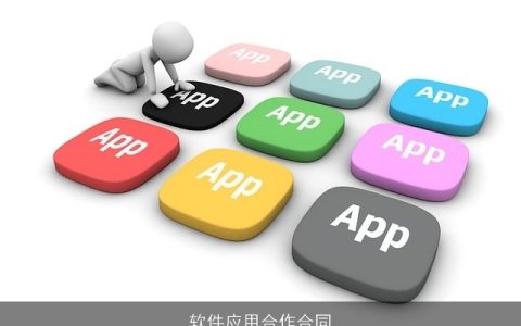 软件应用合作合同