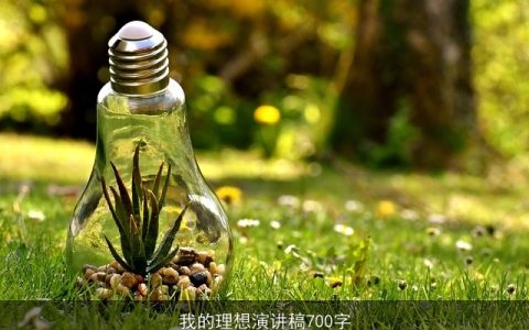 我的理想演讲稿700字