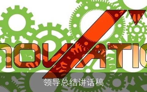 领导总结讲话稿