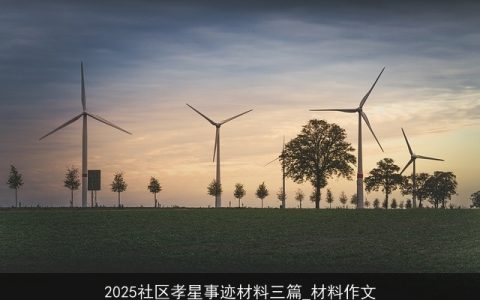 2025社区孝星事迹材料三篇_材料作文