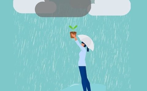 《老人与海》读后感范文_作文950字_初二读后感