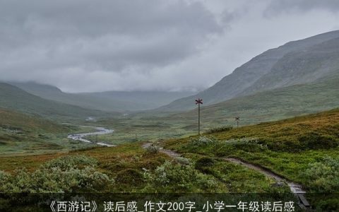 《西游记》读后感_作文200字_小学一年级读后感