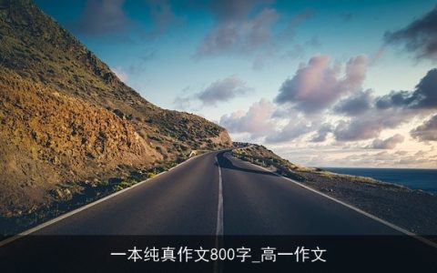 一本纯真作文800字_高一作文