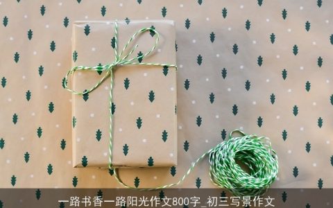 一路书香一路阳光作文800字_初三写景作文