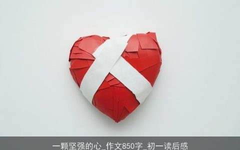 一颗坚强的心_作文850字_初一读后感