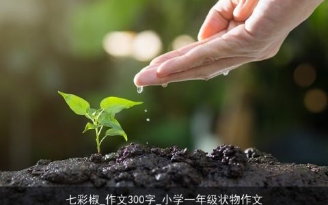 七彩椒_作文300字_小学一年级状物作文