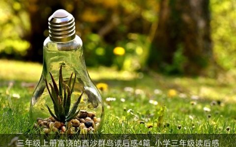 三年级上册富饶的西沙群岛读后感4篇_小学三年级读后感