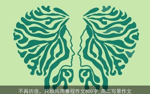不再彷徨，只顾风雨兼程作文800字_高二写景作文