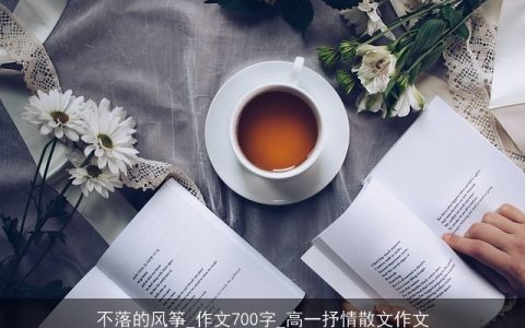 不落的风筝_作文700字_高一抒情散文作文